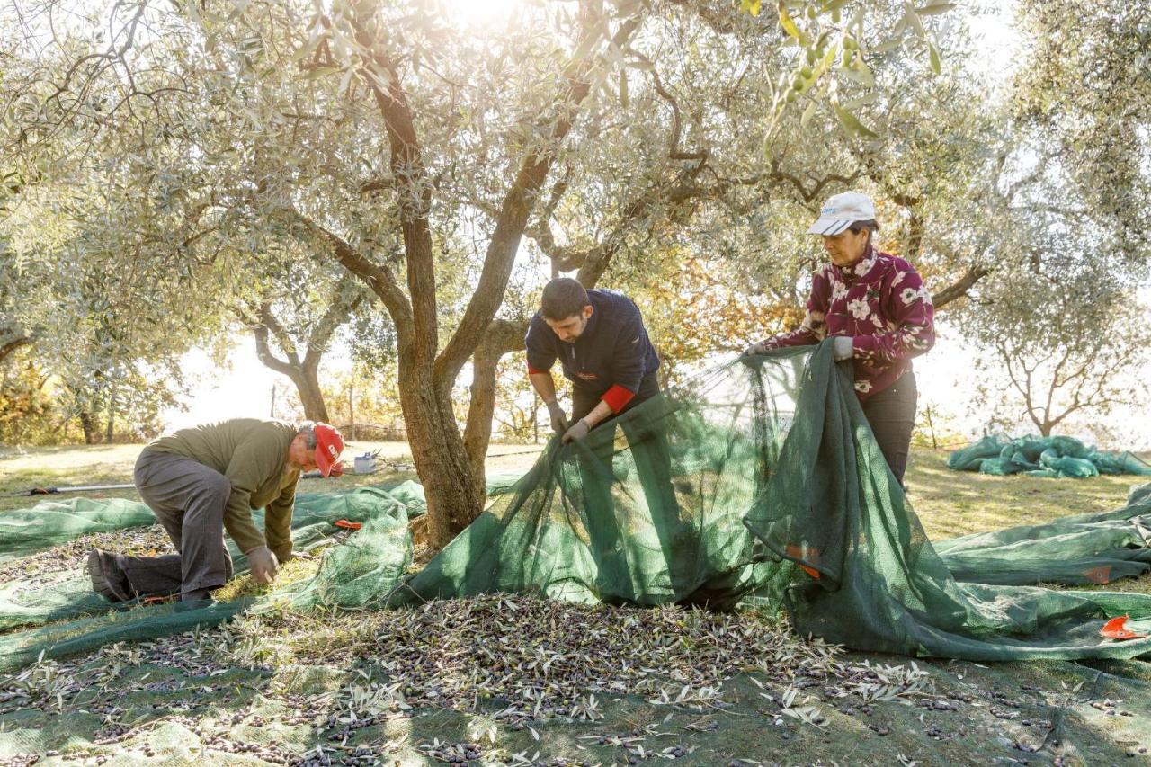 Agriturismo Agricamping Garda Natura Costermano Dış mekan fotoğraf